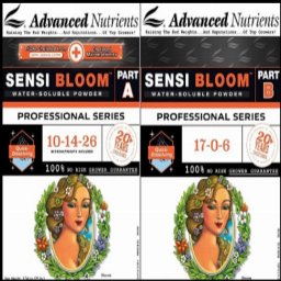Sensi Bloom Professional Series - Part A＆B 1kg
