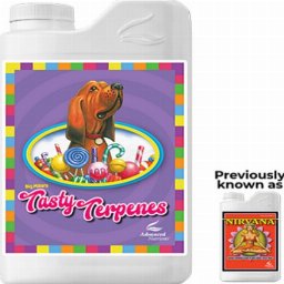 Tasty Terpenes 10L