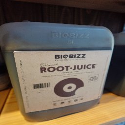 Root Juice 5L