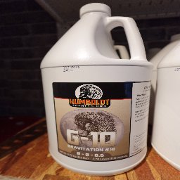 G10