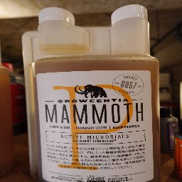 Mammoth P 1L