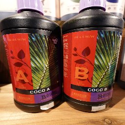 B'CUZZ COCO A/B 1L