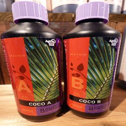 B'CUZZ COCO A/B 500ml