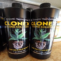 Clonex Clone Solution 946ml