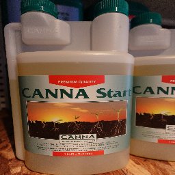 CANNA Start 1L