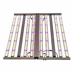 LED PHANTOM780